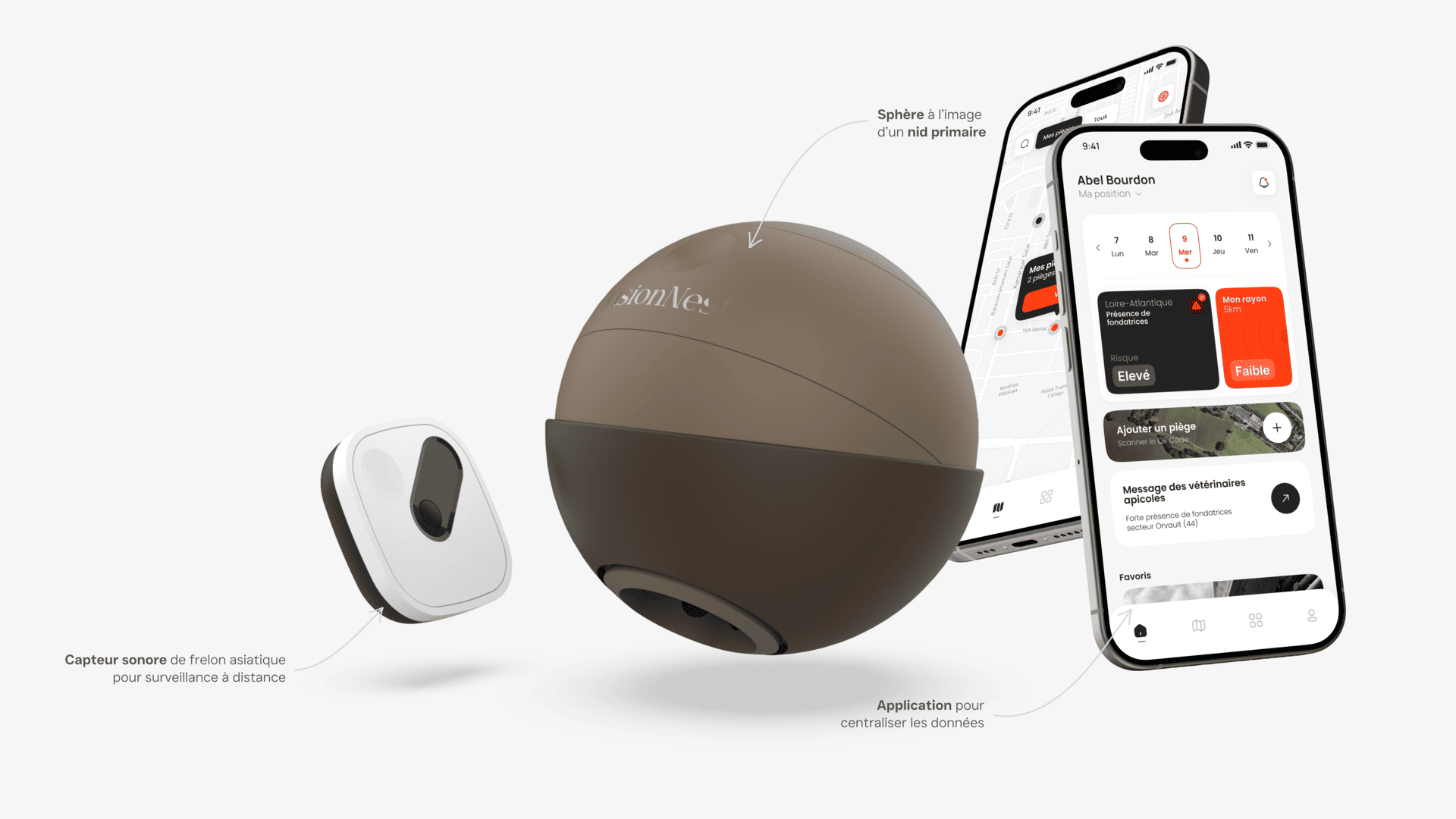 Vision Nest 1