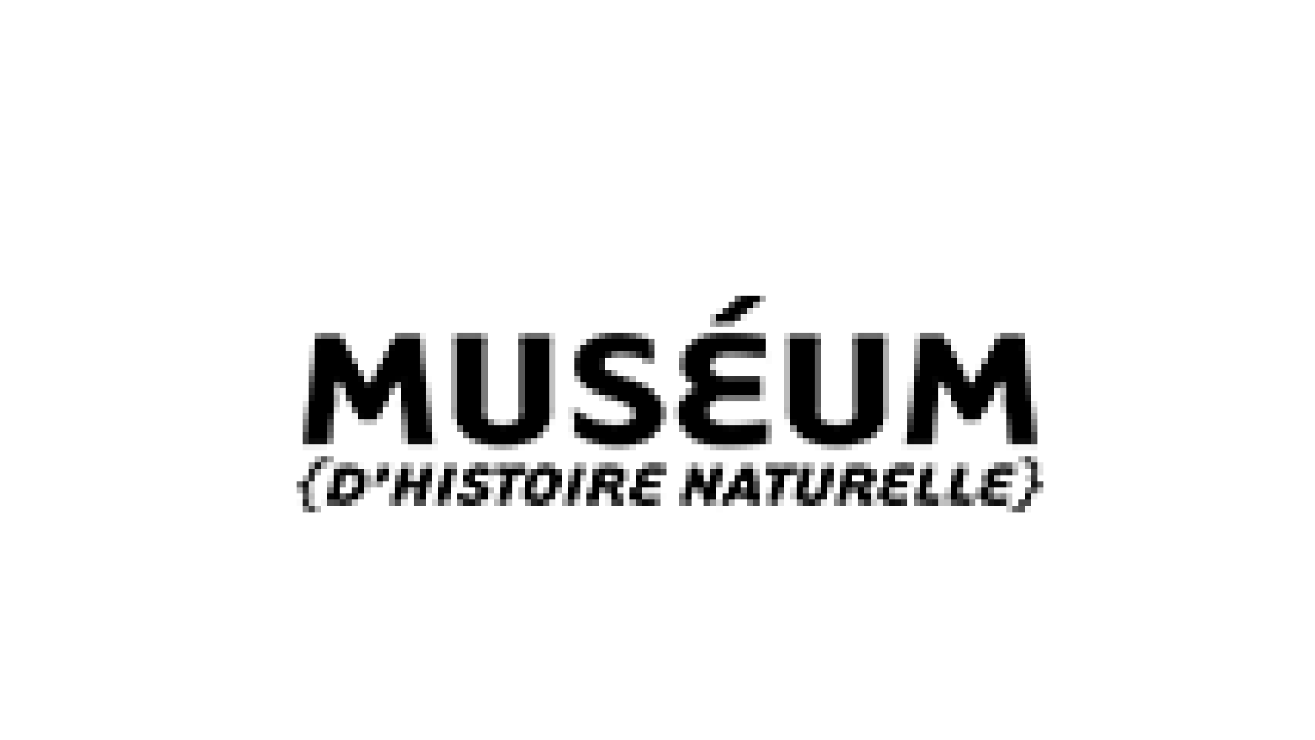 logo museum