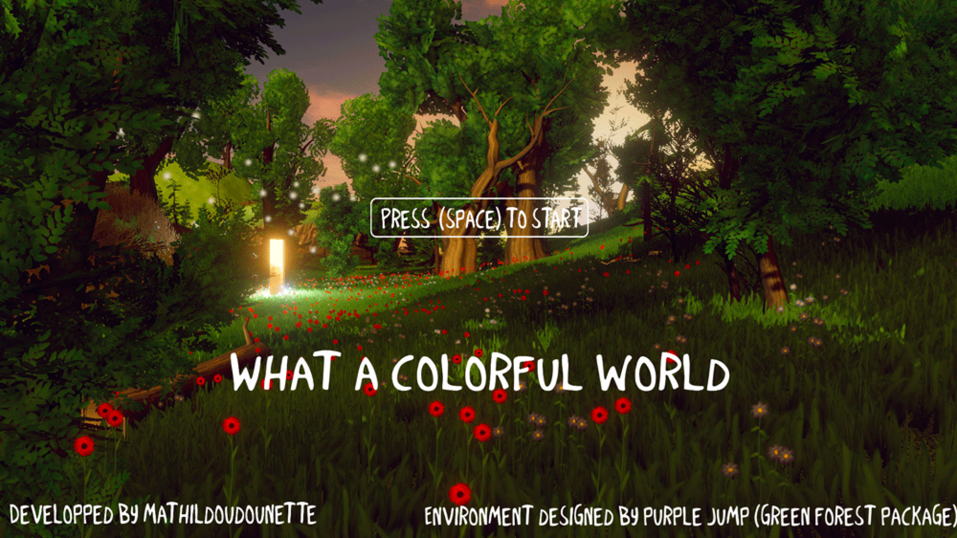 projet-what-a-colorful-world_bachelor-uiux-design