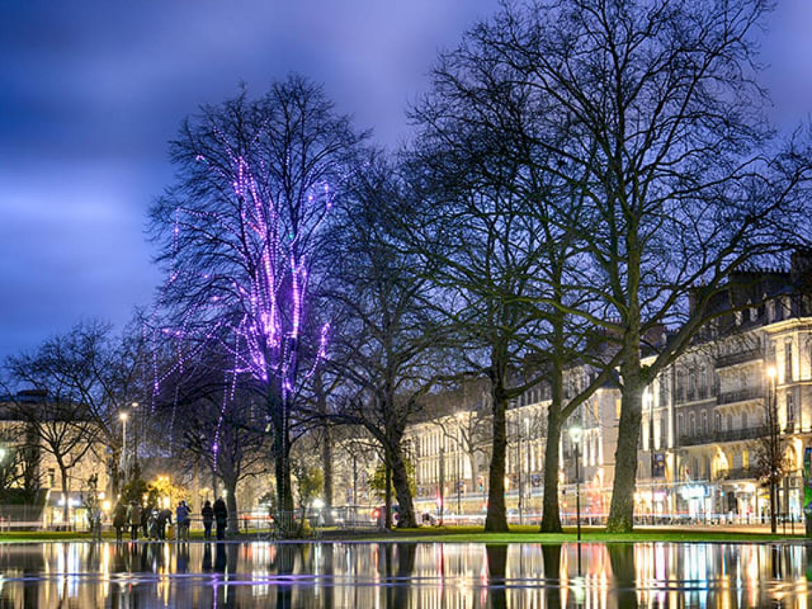 l’Arbre à Vœux en face du Château des Ducs de Bretagne Nantes