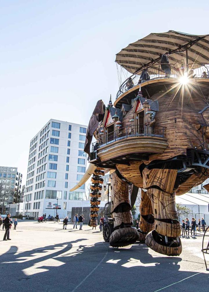 éléphant des machines
